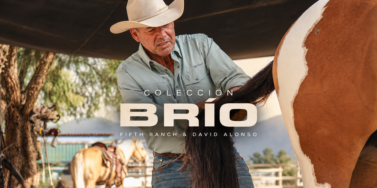 Novedades en Fifth Ranch