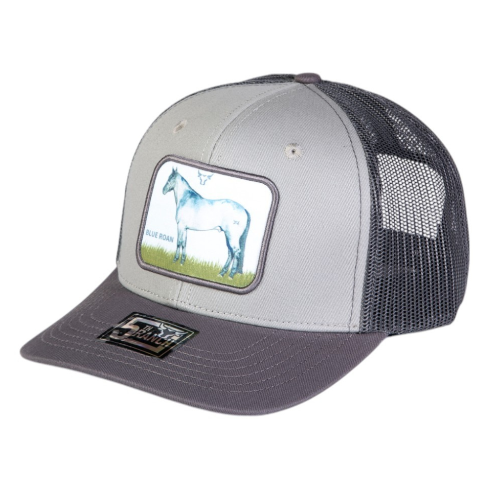 Gorra Equina CEQ38