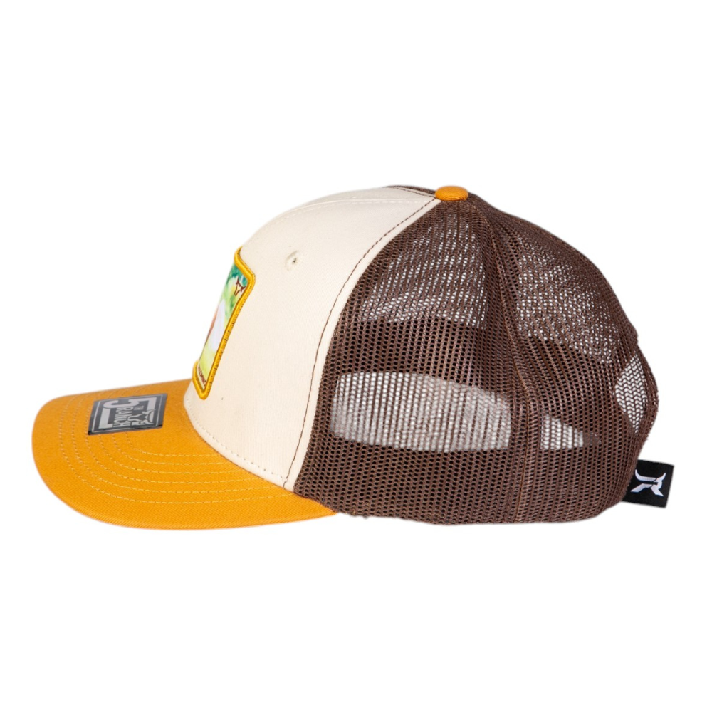 Gorra Equina CEQ40