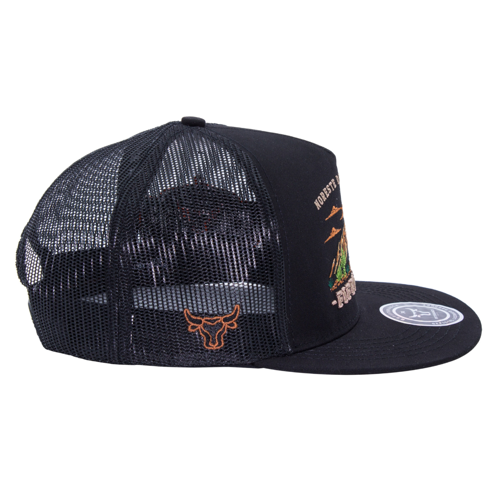 Gorra Noreste PNO47