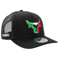 Gorra Traditional CTR79