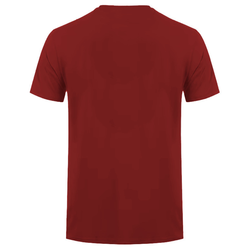 Playera Charro Atrabancado PL39